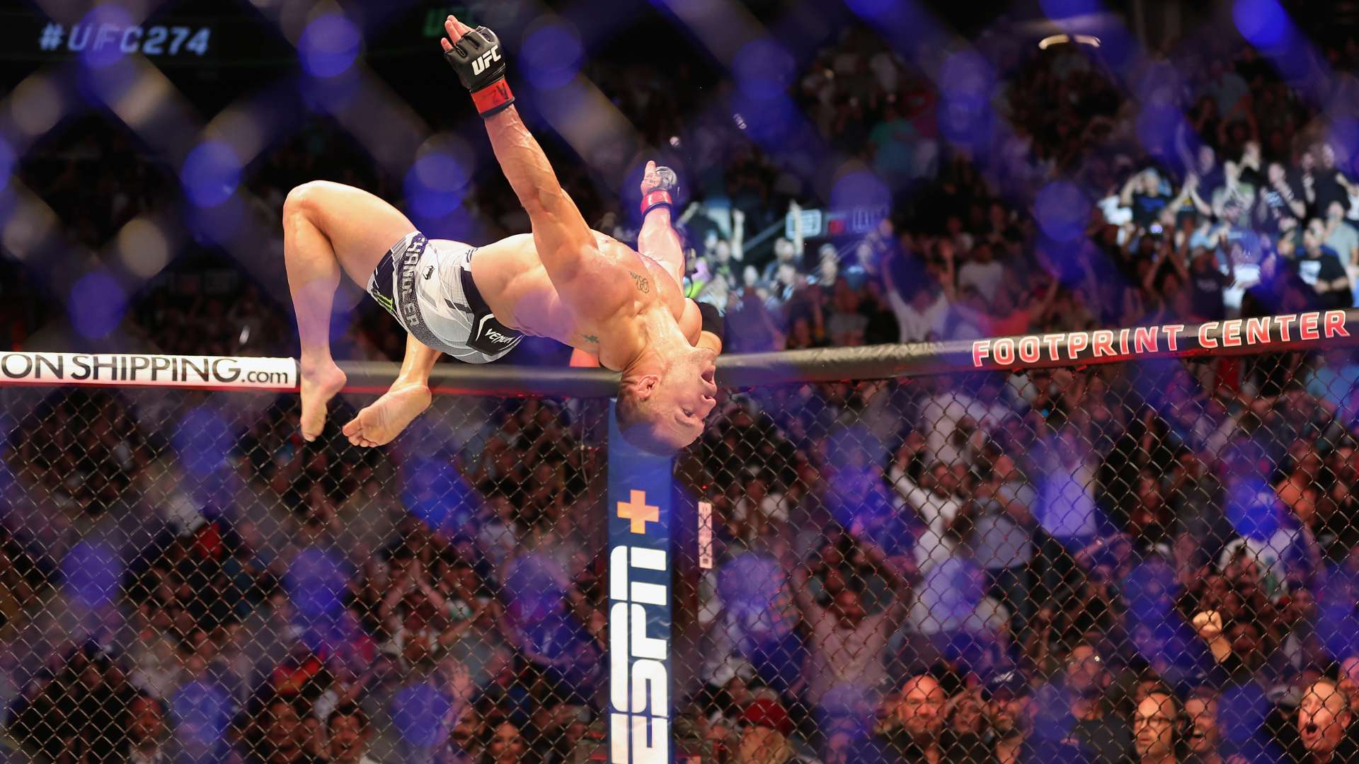 多位专家一 多位专家一